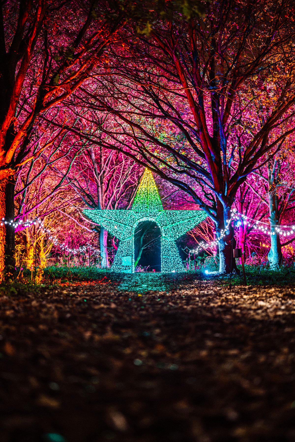 Northampton 2025 — Winter Light Trail